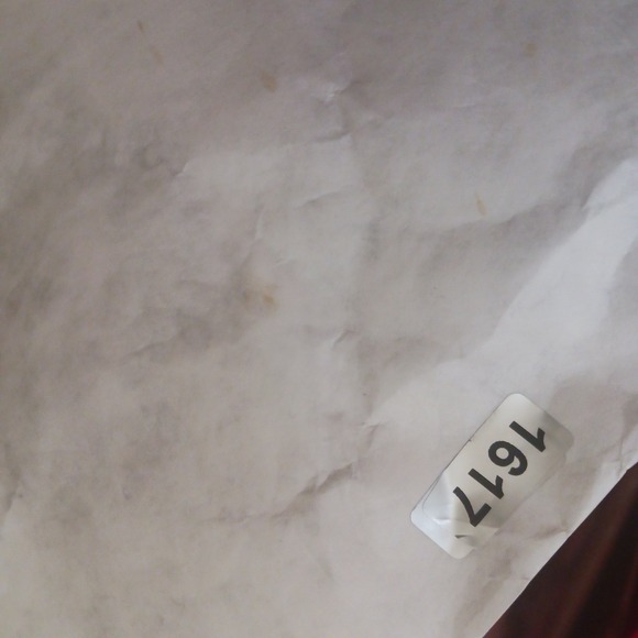 Pinup Fashion Floral Lace Midi Dress 22W Belted Fit Flare Retro Cocktail Elegant - Picture 8 of 8